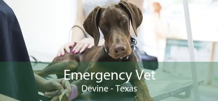 Emergency Vet Devine - Texas
