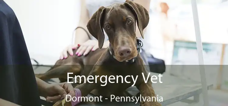 Emergency Vet Dormont - Pennsylvania