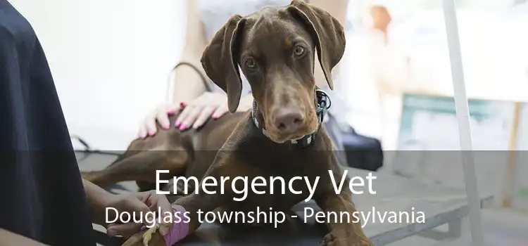 Emergency Vet Douglass township - Pennsylvania