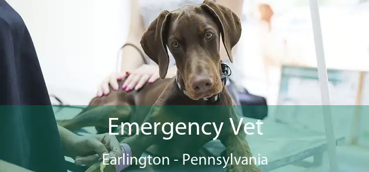 Emergency Vet Earlington - Pennsylvania