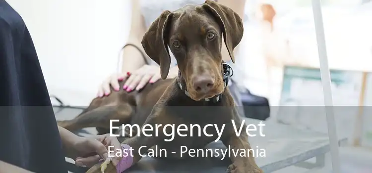 Emergency Vet East Caln - Pennsylvania
