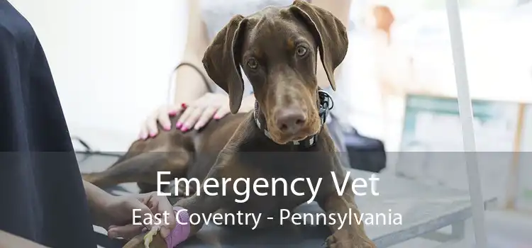 Emergency Vet East Coventry - Pennsylvania