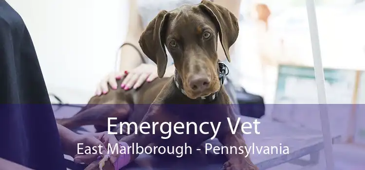 Emergency Vet East Marlborough - Pennsylvania