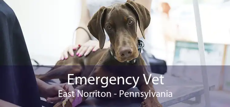 Emergency Vet East Norriton - Pennsylvania