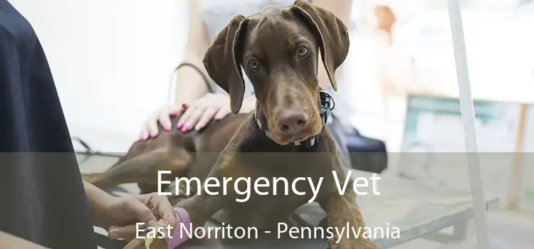 Emergency Vet East Norriton - Pennsylvania