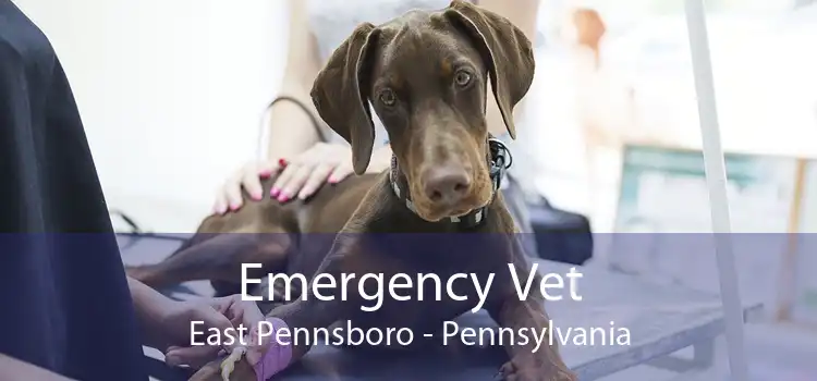 Emergency Vet East Pennsboro - Pennsylvania