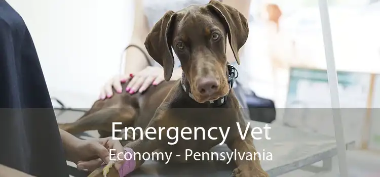 Emergency Vet Economy - Pennsylvania