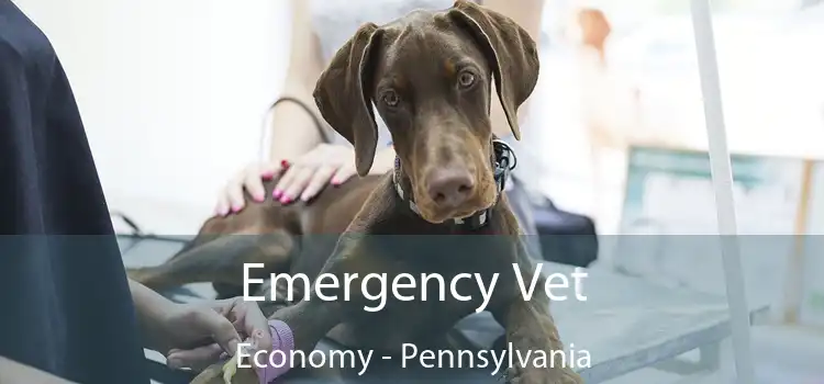 Emergency Vet Economy - Pennsylvania