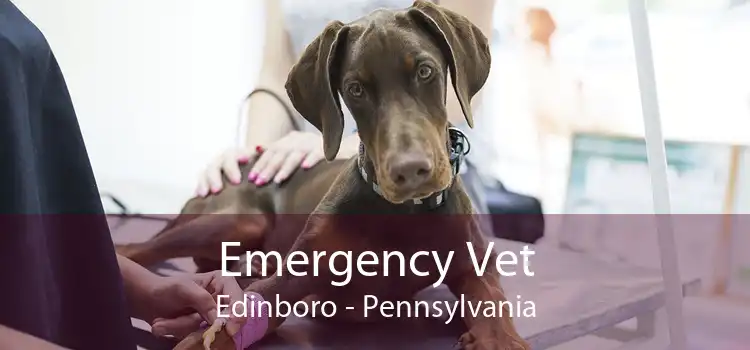 Emergency Vet Edinboro - Pennsylvania