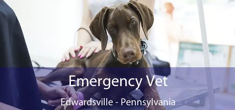Emergency Vet Edwardsville - Pennsylvania