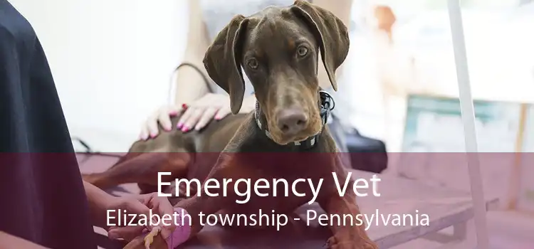 Emergency Vet Elizabeth township - Pennsylvania
