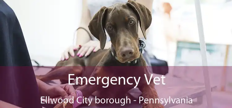 Emergency Vet Ellwood City borough - Pennsylvania