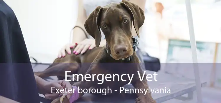 Emergency Vet Exeter borough - Pennsylvania