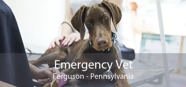 Emergency Vet Ferguson - Pennsylvania