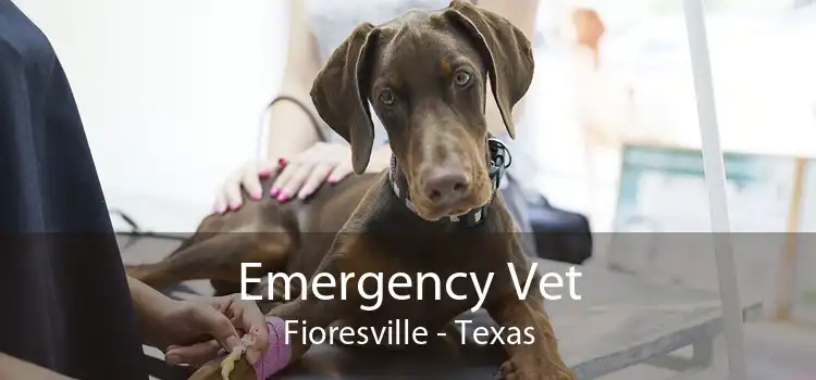 Emergency Vet Fioresville - Texas