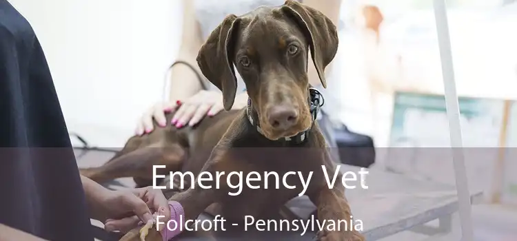 Emergency Vet Folcroft - Pennsylvania