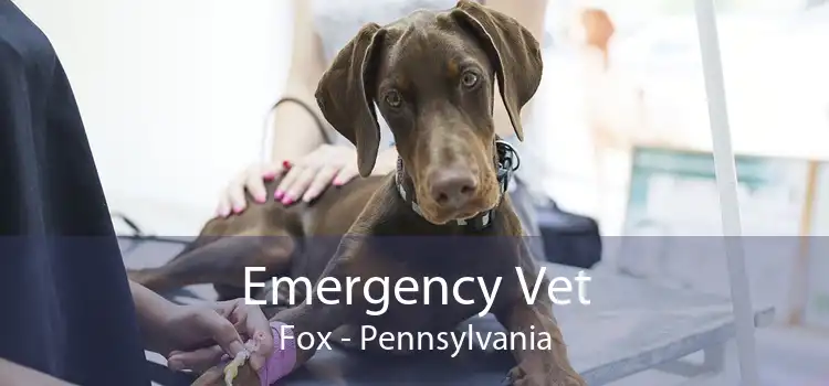 Emergency Vet Fox - Pennsylvania