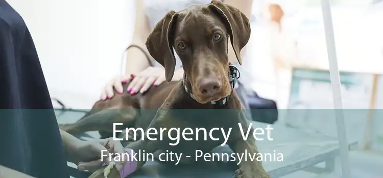 Emergency Vet Franklin city - Pennsylvania