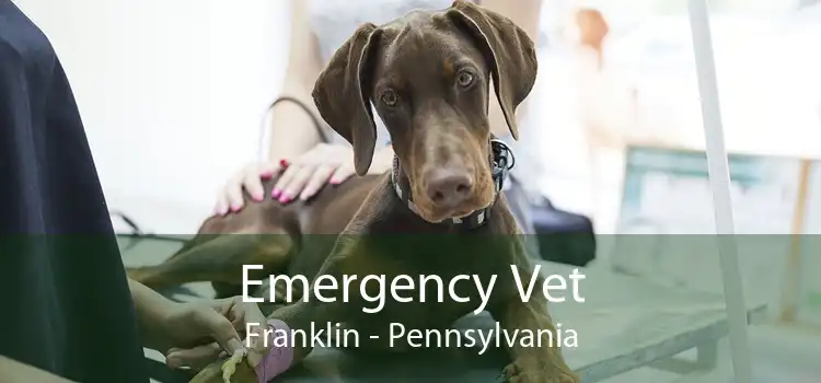 Emergency Vet Franklin - Pennsylvania