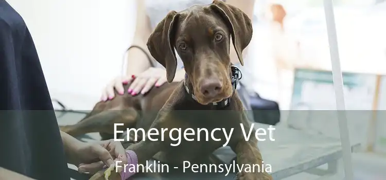 Emergency Vet Franklin - Pennsylvania