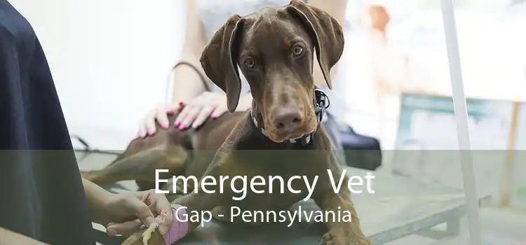 Emergency Vet Gap - Pennsylvania