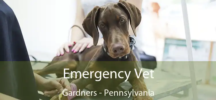 Emergency Vet Gardners - Pennsylvania