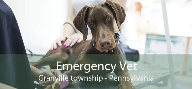 Emergency Vet Granville township - Pennsylvania