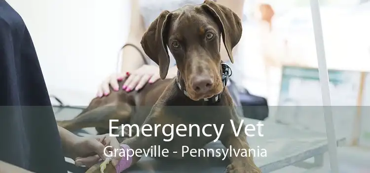 Emergency Vet Grapeville - Pennsylvania