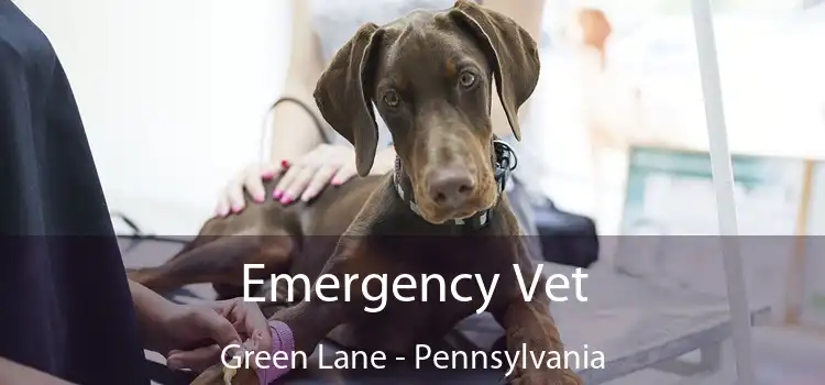 Emergency Vet Green Lane - Pennsylvania