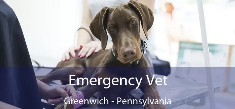 Emergency Vet Greenwich - Pennsylvania