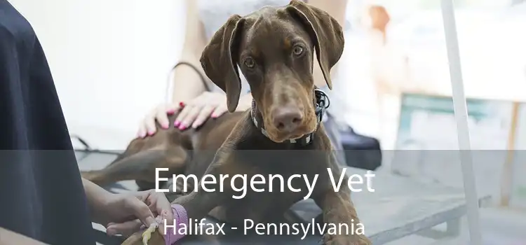 Emergency Vet Halifax - Pennsylvania
