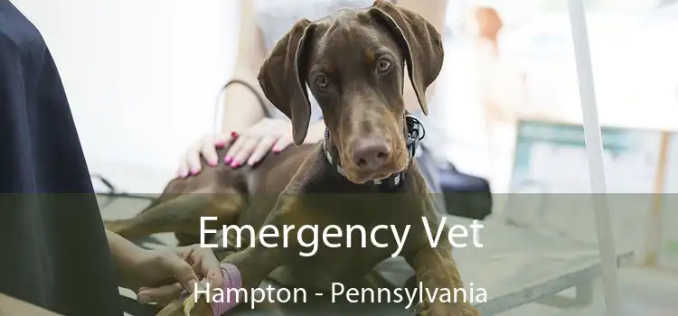 Emergency Vet Hampton - Pennsylvania