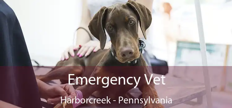 Emergency Vet Harborcreek - Pennsylvania