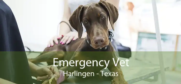 Emergency Vet Harlingen - Texas
