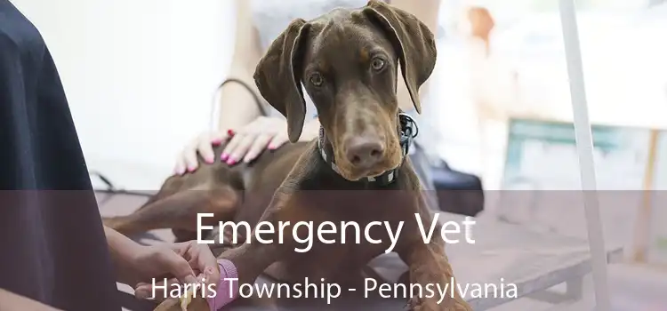 Emergency Vet Harris Township - Pennsylvania