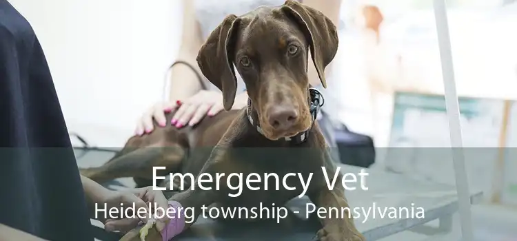 Emergency Vet Heidelberg township - Pennsylvania