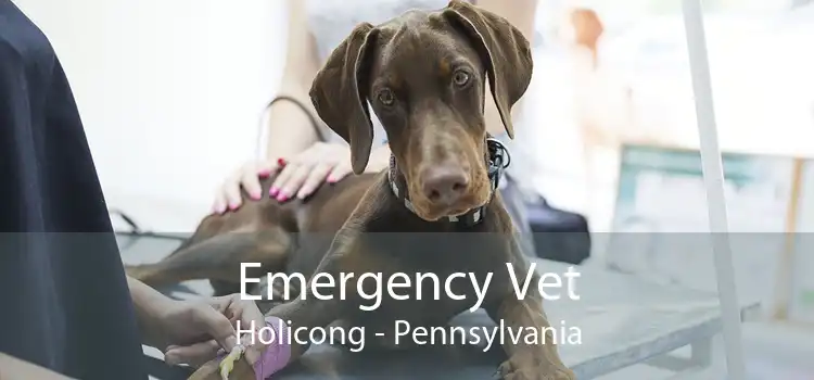 Emergency Vet Holicong - Pennsylvania