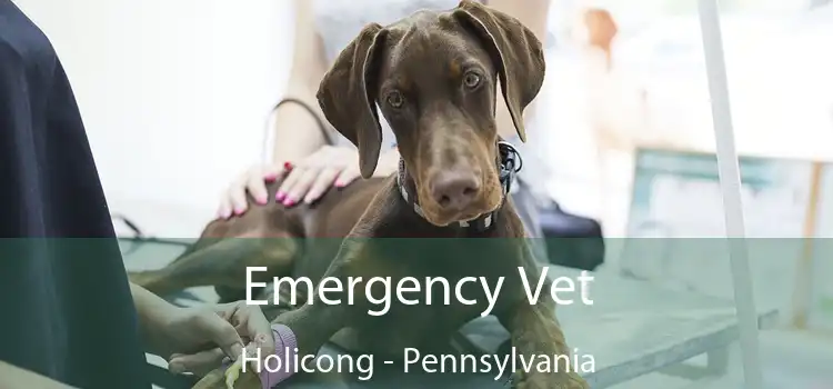 Emergency Vet Holicong - Pennsylvania