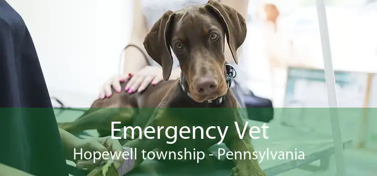 Emergency Vet Hopewell township - Pennsylvania