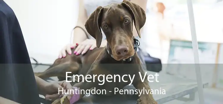 Emergency Vet Huntingdon - Pennsylvania