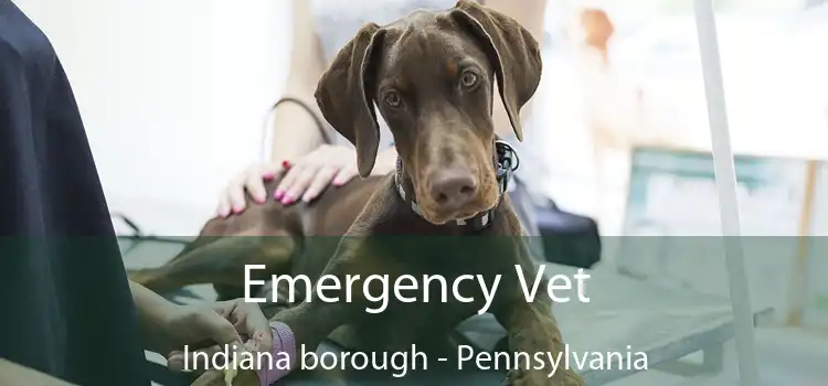 Emergency Vet Indiana borough - Pennsylvania