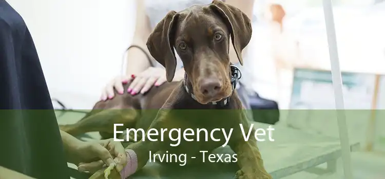 Emergency Vet Irving - Texas