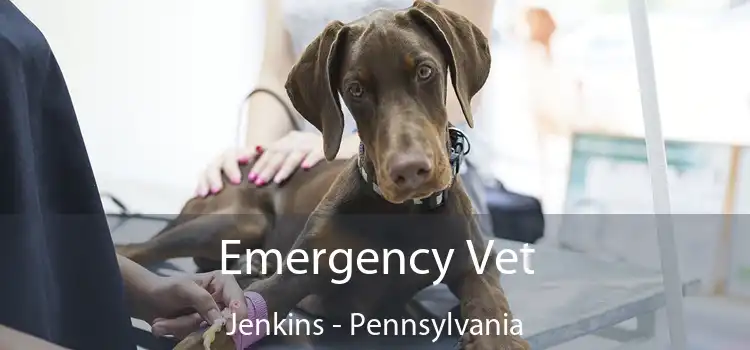 Emergency Vet Jenkins - Pennsylvania