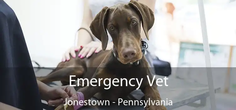 Emergency Vet Jonestown - Pennsylvania