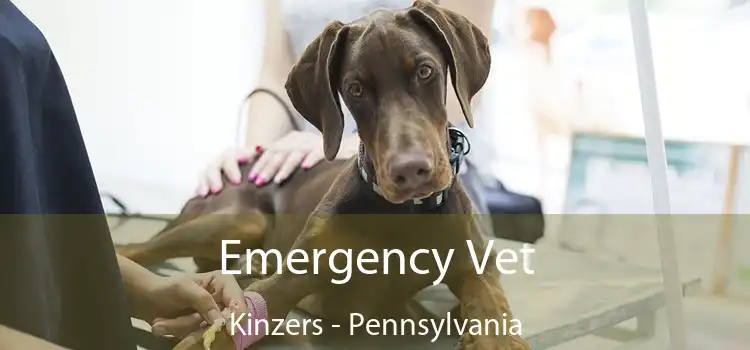 Emergency Vet Kinzers - Pennsylvania