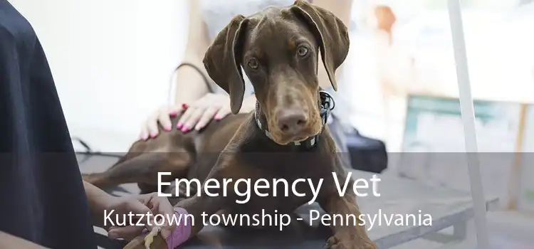 Emergency Vet Kutztown township - Pennsylvania