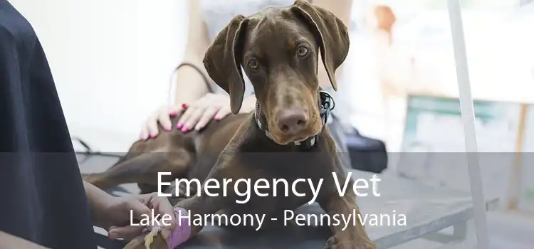 Emergency Vet Lake Harmony - Pennsylvania