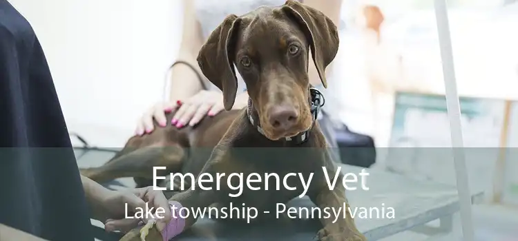 Emergency Vet Lake township - Pennsylvania
