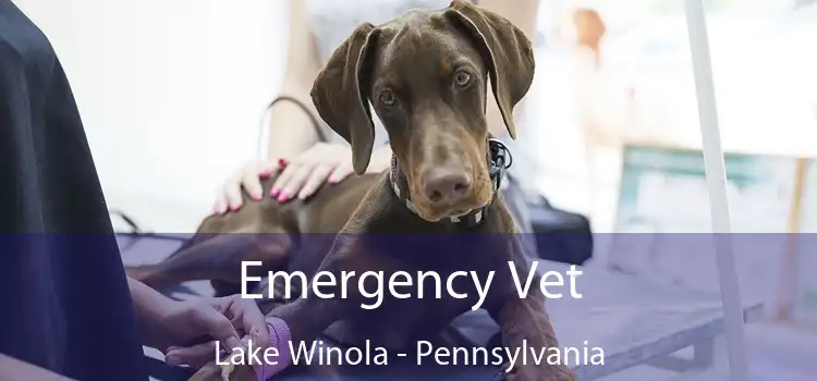 Emergency Vet Lake Winola - Pennsylvania