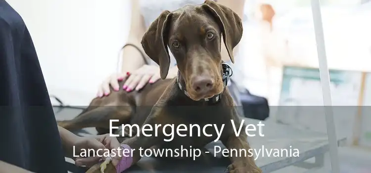 Emergency Vet Lancaster township - Pennsylvania